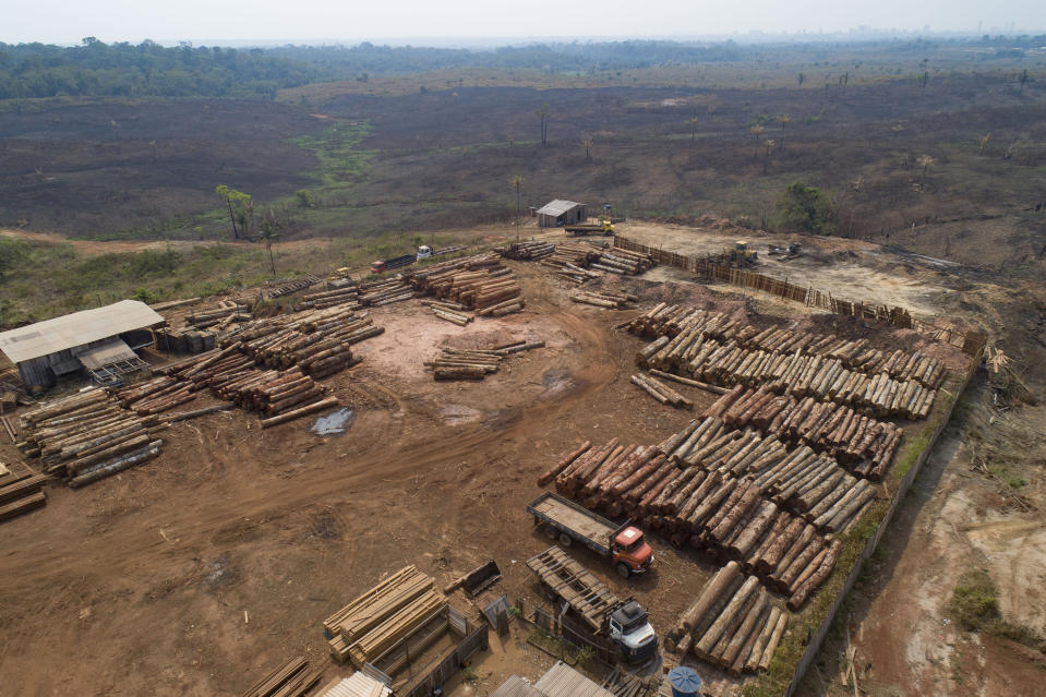 FILE - In this Sept. 2, 2019 file photo, logs are stacked at a lumber mill surrounded by recently charred and deforested fields near Porto Velho, Rondonia state, Brazil. Dozens of Brazilian corporations are calling for a crackdown on illegal logging in the Amazon rainforest, expressing their concerns in a letter Tuesday, July 7, 2020, to the vice president, who heads the government's council on that region. (AP Photo/Andre Penner, File)