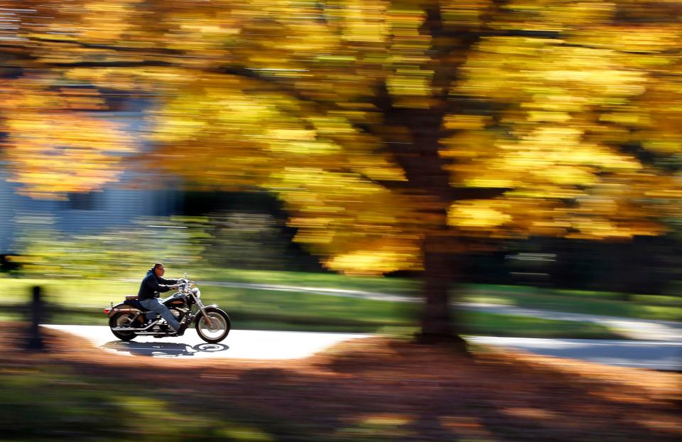 A motorcyclist cruises past a maple tree displaying its bright fall foliage in Freeport, Maine.
