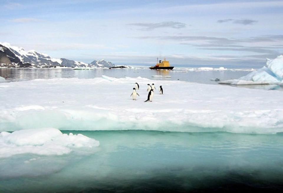 Follow in the footsteps of Scott, Shackleton and co on an expedition cruise to Antarctica (EPA)
