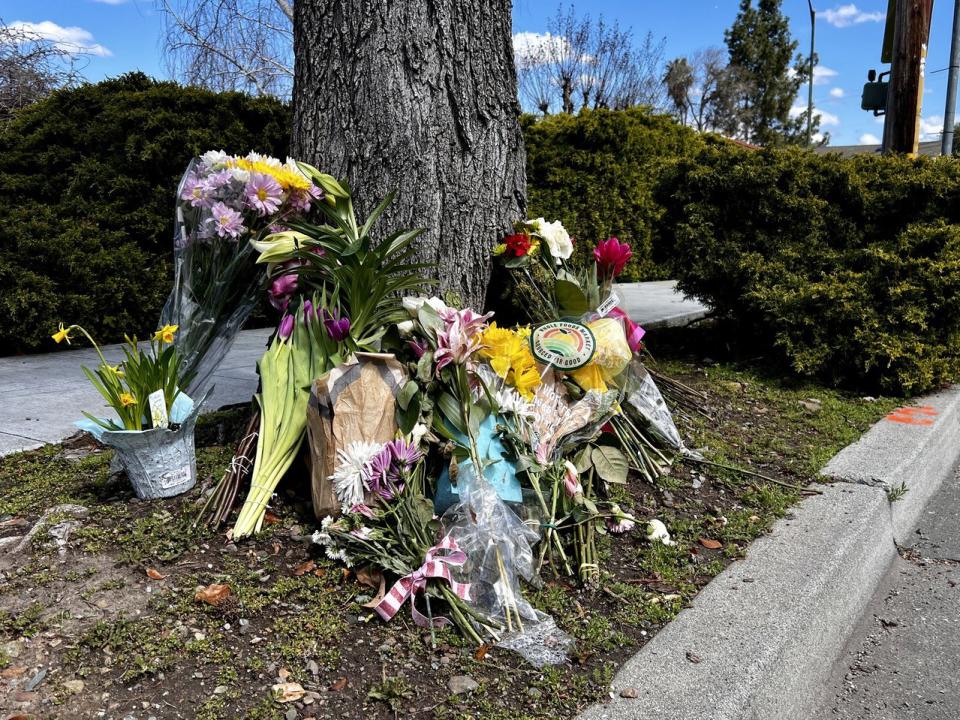 事發地Blossom Hill Road路旁的一刻樹下擺放著親友和附近居民送來的鮮花，悼念曹麗敏。（記者葛歆睿 / 攝影）