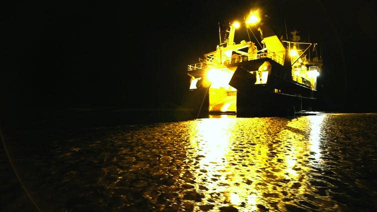 A large ship covered in yellow lights illuminates the icy water.