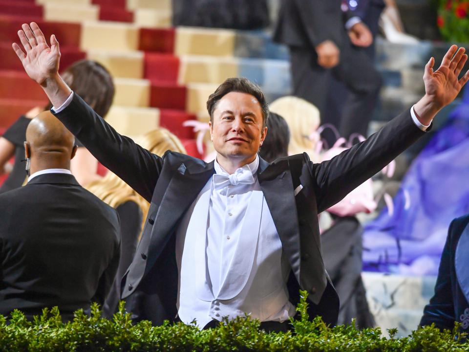 Elon Musk with his arms outstretched gratuitously