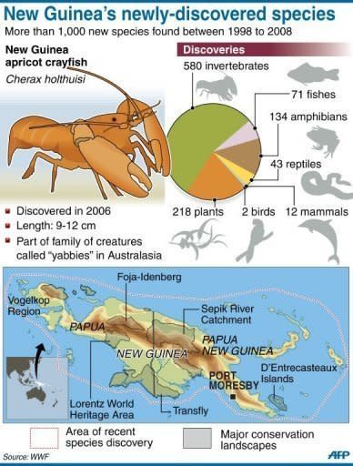 Graphic on new species discovered on the Melanesian island of New Guinea, according to environment group WWF
