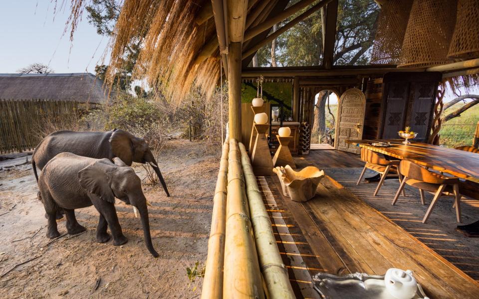 Sitatunga Private Island, Botswana, Africa