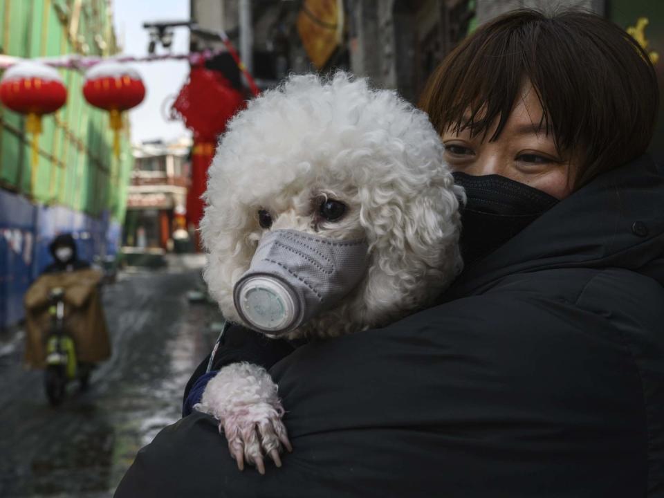 A Chinese woman holds her dog that is wearing a protective mask as well as they stand in the street in Beijing, China: Getty Images