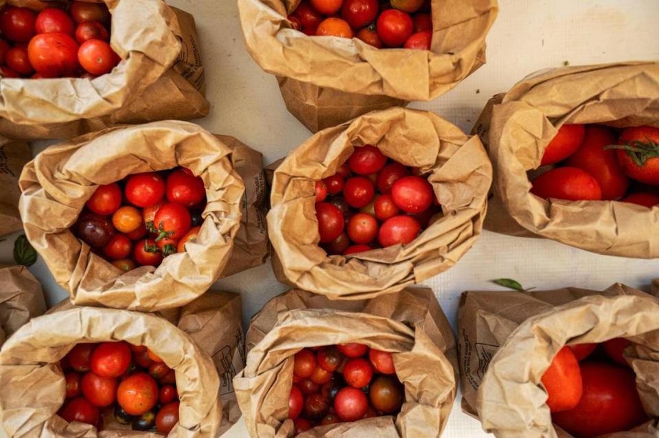 Bags of free cherry tomatoes are set out for customers at Community Laundry Day at Leah’s Laundromat on the Q.