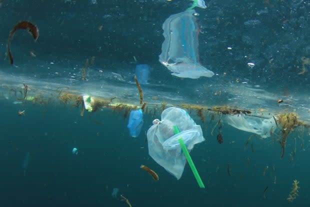 According to Ocean Wise, 11 million tons of plastic waste ends up in the ocean each year.  (Shutterstock / Rich Carey - image credit)