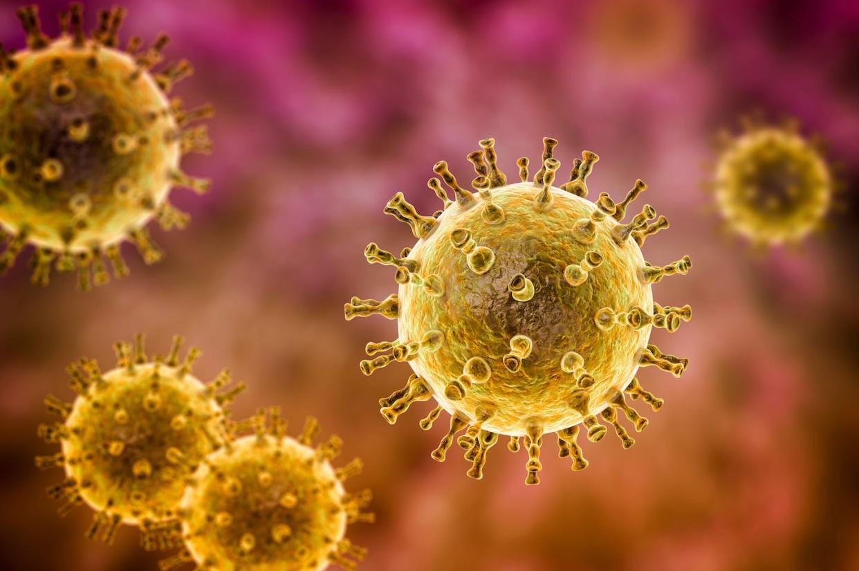 El virus de la varicela-zóster puede reactivarse cuando bajan las defensas y causar el herpes zóster. <a href="https://www.shutterstock.com/es/image-illustration/varicella-zoster-chickenpox-virus-3d-illustration-1754829404" rel="nofollow noopener" target="_blank" data-ylk="slk:Kateryna Kon / Shutterstock;elm:context_link;itc:0;sec:content-canvas" class="link ">Kateryna Kon / Shutterstock</a>