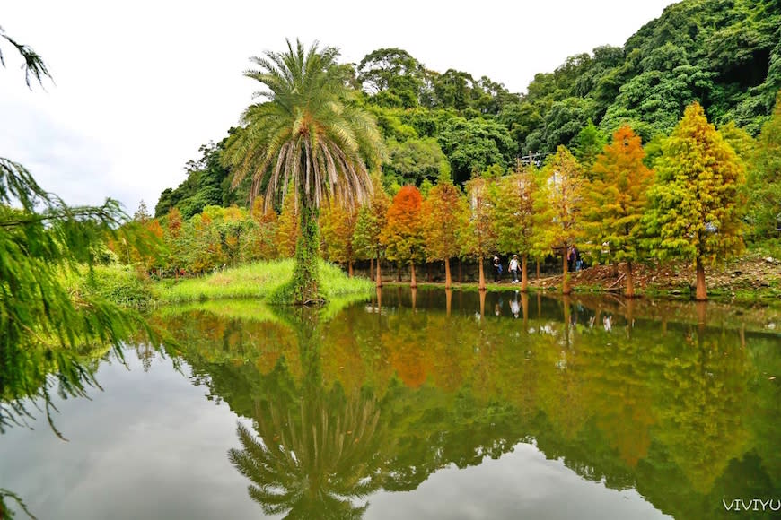 桃園大溪｜月眉人工濕地生態公園