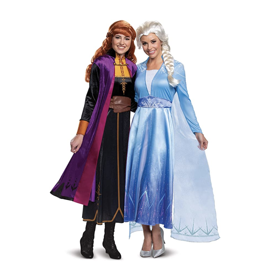 5) Elsa and Anna Adult Costume