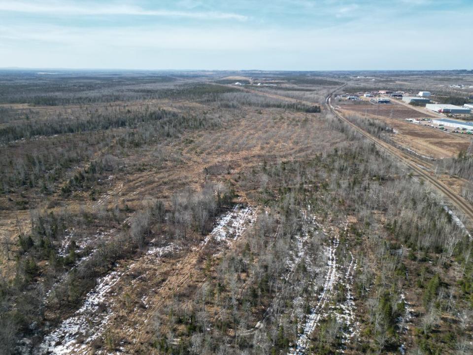 Moncton Industrial Park West is expected to expand south of Berry Mills Road and the CN rail line, shown to the right, into this wooded area and south to the CN rail yard.