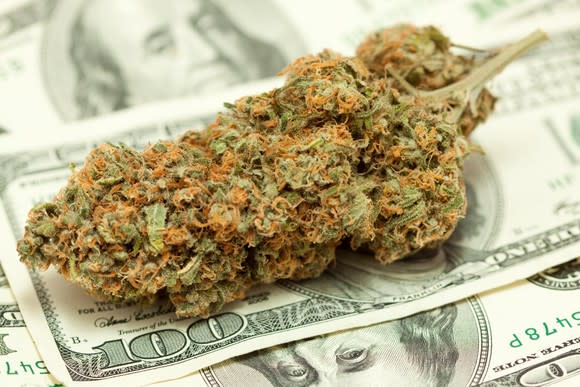 A large trimmed cannabis bud lying atop a messy pile of hundred dollar bills.