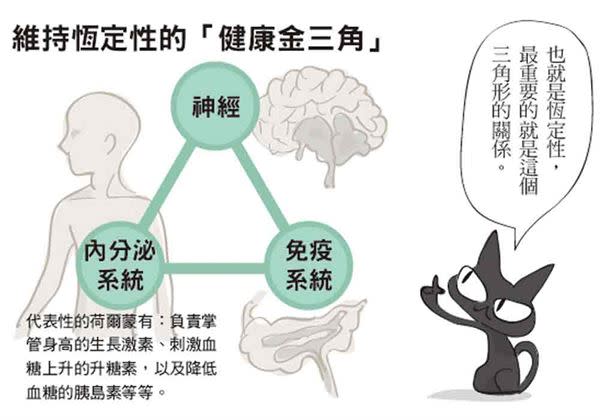 想提升身體自癒力？先顧好「健康金三角」