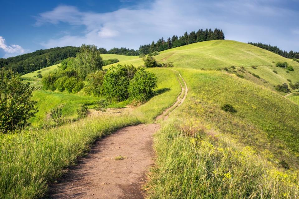 Chapel Trail Nature Preserve via Getty Images