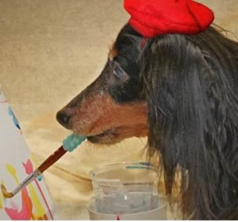 Blind, rescued Dachshund's artwork helps other rescue dogs