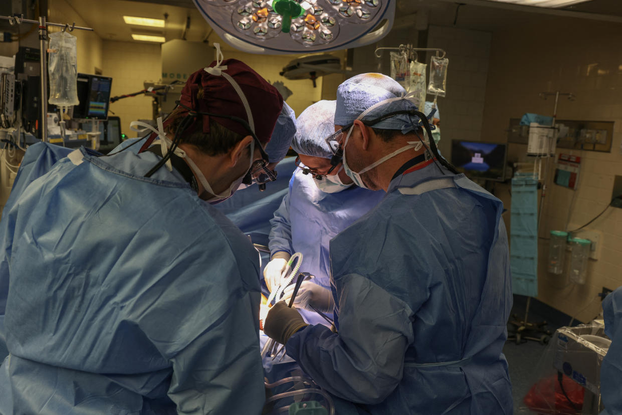 En una fotografía facilitada por el Hospital General de Massachusetts, unos cirujanos realizan el primer trasplante del mundo con un riñón de cerdo modificado genéticamente a un ser humano vivo en el Hospital General de Massachusetts en Boston, el 16 de marzo de 2024. (Hospital General de Massachusetts vía The New York Times)