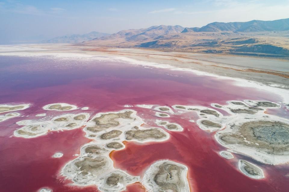 Varying levels of salinity cause different colours, with an algae that flourishes in higher salt content causing the red pigment (EPA)