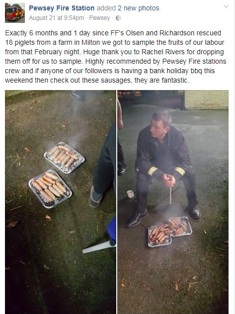 <em>Firefighters recommended the sausages on a Facebook post (SWNS)</em>