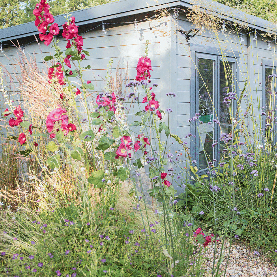 Long grass planting with blue shed