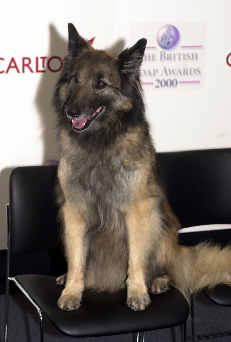 The pet dog of Eastenders character Robbie Jackson. Well’ard, appeared at the British Soap awards in 2000 at the BBC TV studios. (PA)