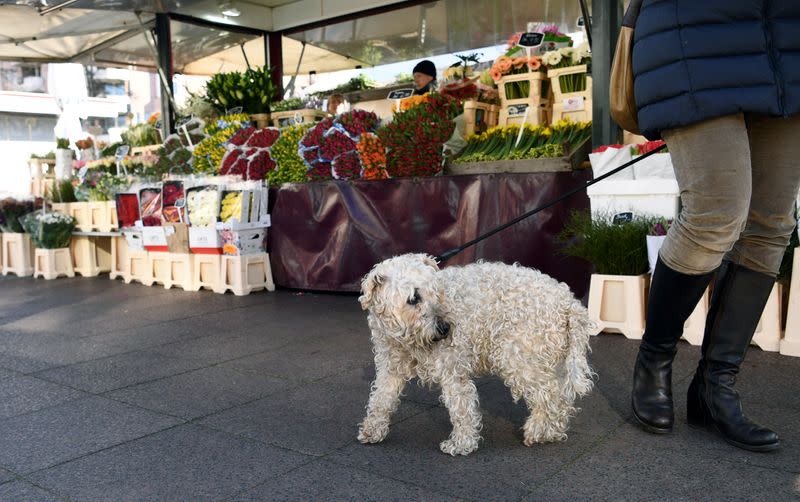 FILE PHOTO: A dog owner with her dog passes near a flower stand
