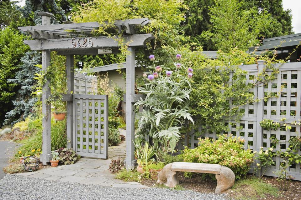 a bench in a garden