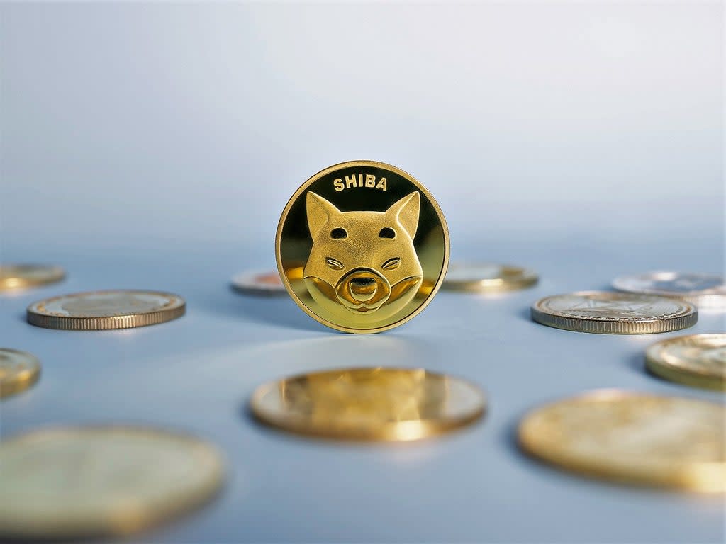 Shiba Inu coin is one of several meme coins to have seen astonishing price gains in 2021 (Getty Images)