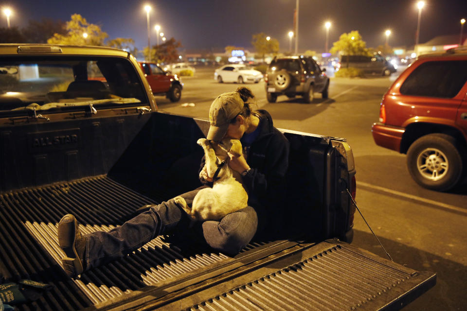 Animal survivors of the California fires