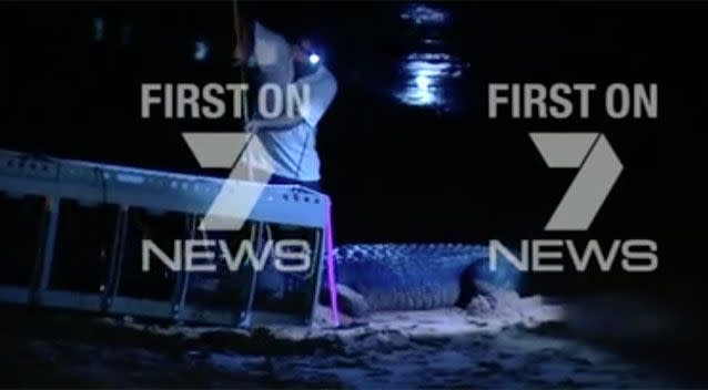 The massive croc was transported to an unnamed area. Source: 7 News.