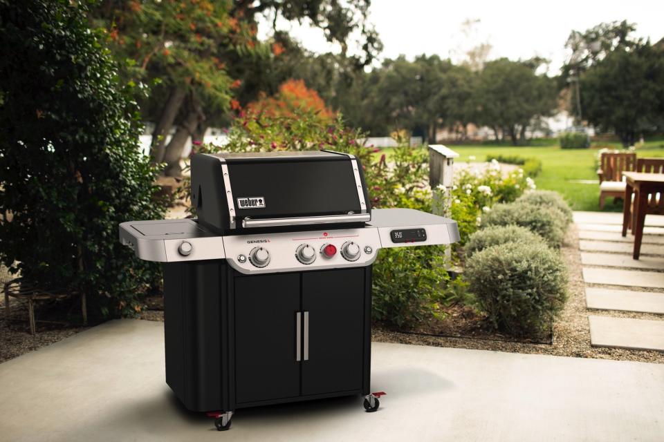 <p>Weber Genesis (2022)</p>
