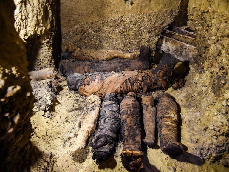 Ancient desert tomb reveals 50 Egyptian mummies including 12 preserved children