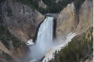 Scenes from Yellowstone National Park, May 2015 [photo: John C. Briggs]