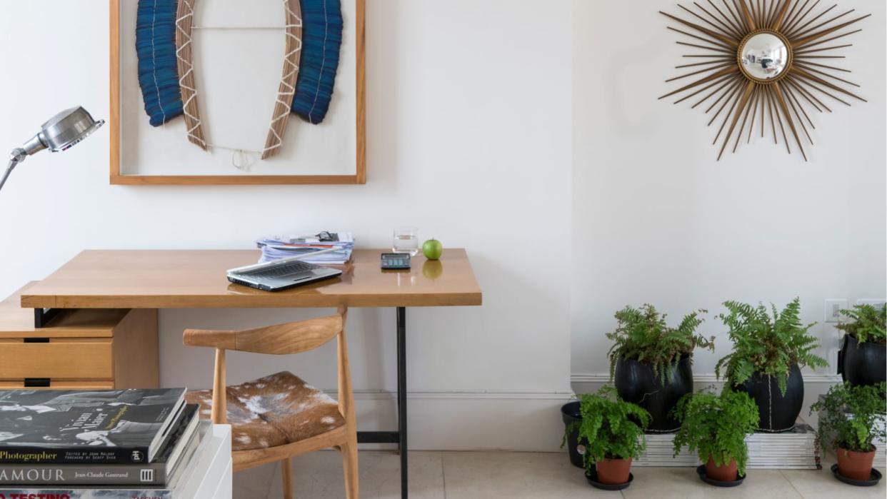  Home office with minimalist indoor garden. 