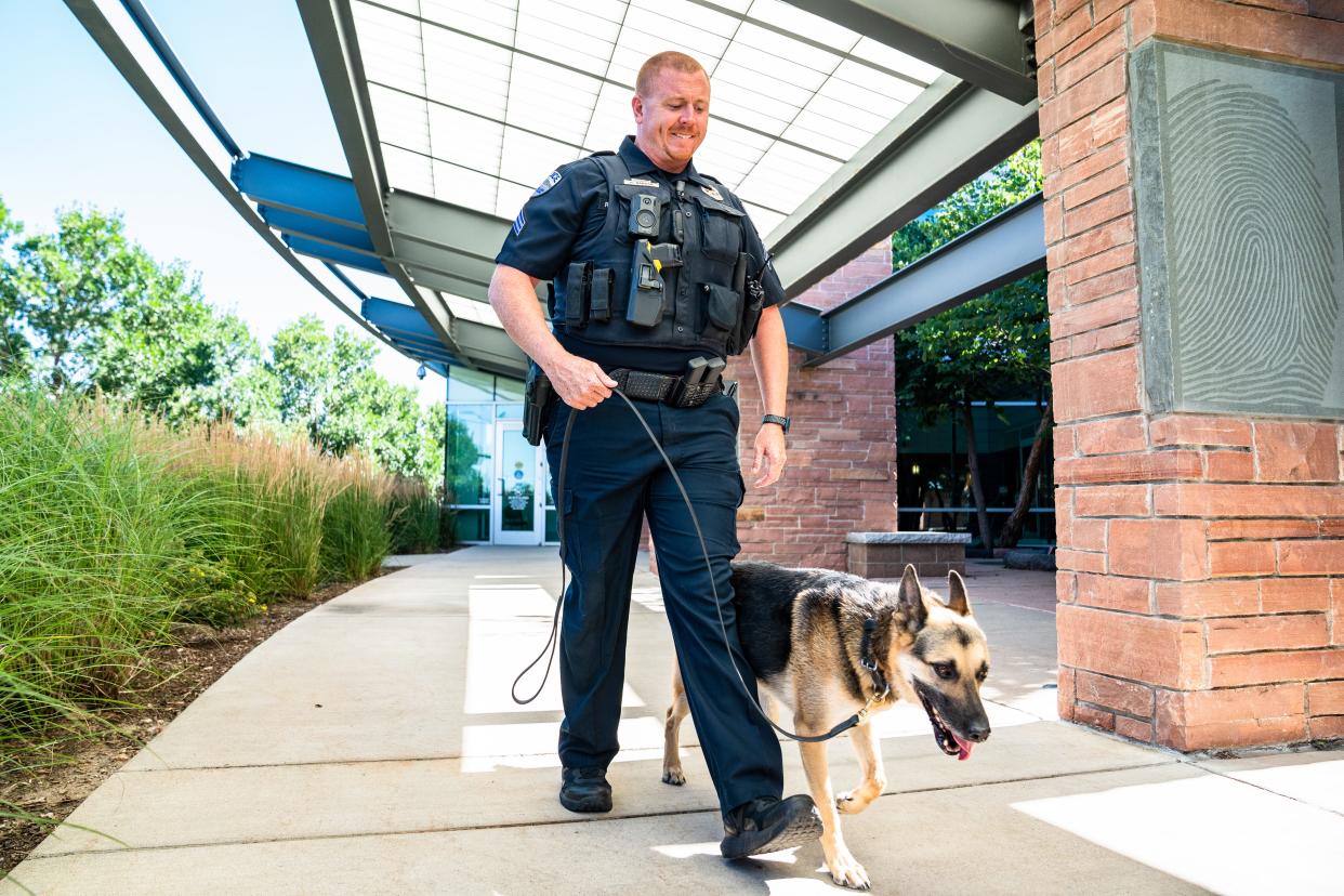 Fort Collins Police Sgt. Ryan Barash walks with his K-9 partner, Inox, on Tuesday. Inox, who retired this month, survived a stabbing and is credited with saving Barash’s life twice in their eight years working together.