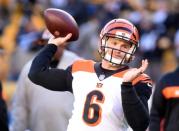 NFL: Cincinnati Bengals at Pittsburgh Steelers