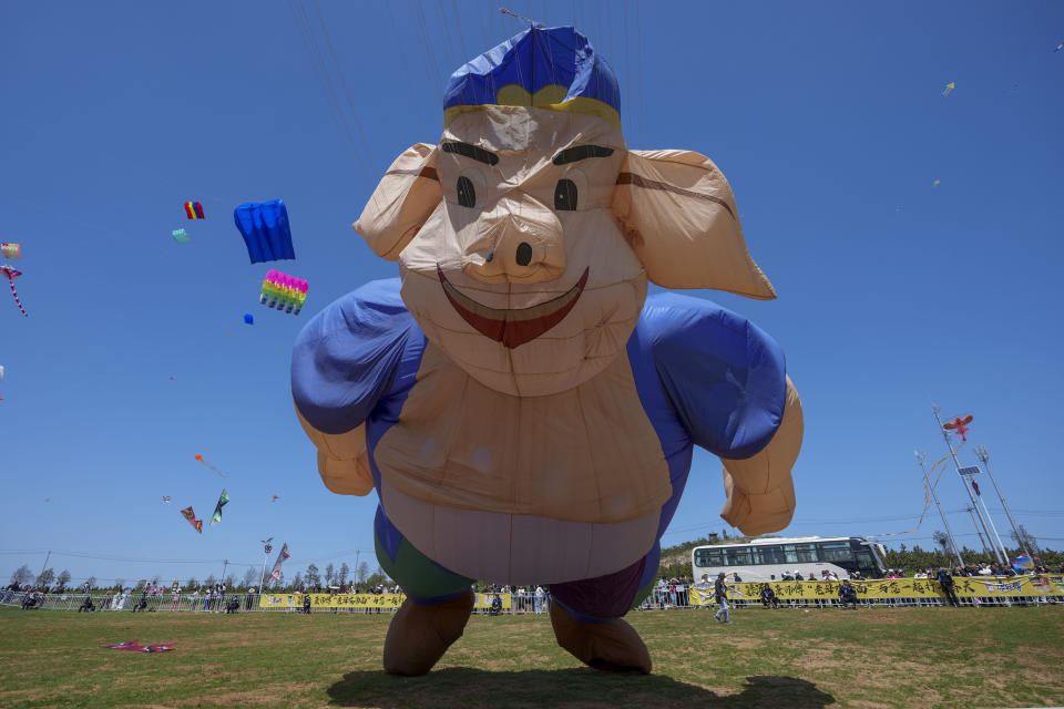 A pig-shaped kite flies at the 41st International Kite Festival in Weifang, Shandong Province of China, Saturday, April 20, 2024. (AP Photo/Tatan Syuflana)