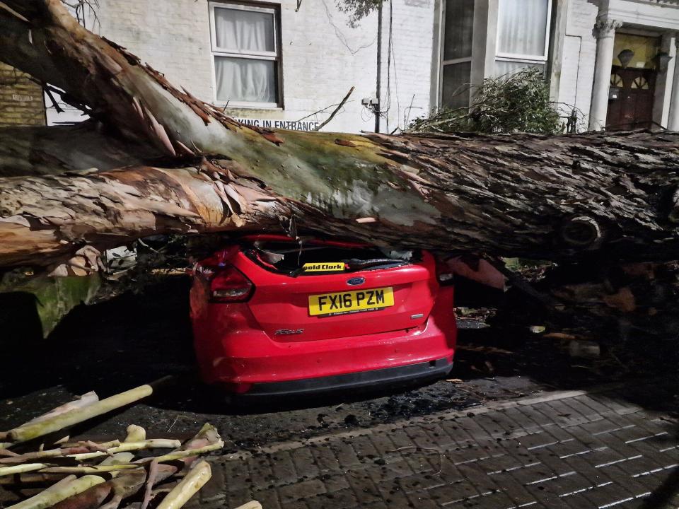 Handout photo taken with permission from the social media site X, formerly Twitter, posted by @MichaelSnasdell of a fallen tree in Forest Hill, London. The Met Office has issued an amber weather warning for Storm Henk, which is forecast to bring gusts of up to 80mph to parts of the UK. Issue date: Tuesday January 2, 2024.