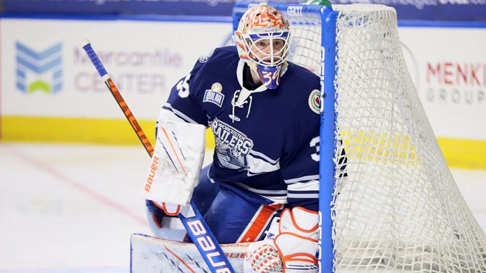 If Railers goalie Ken Appleby, an ECHL All-Star, is able to design his mask, why shouldn't the skaters?