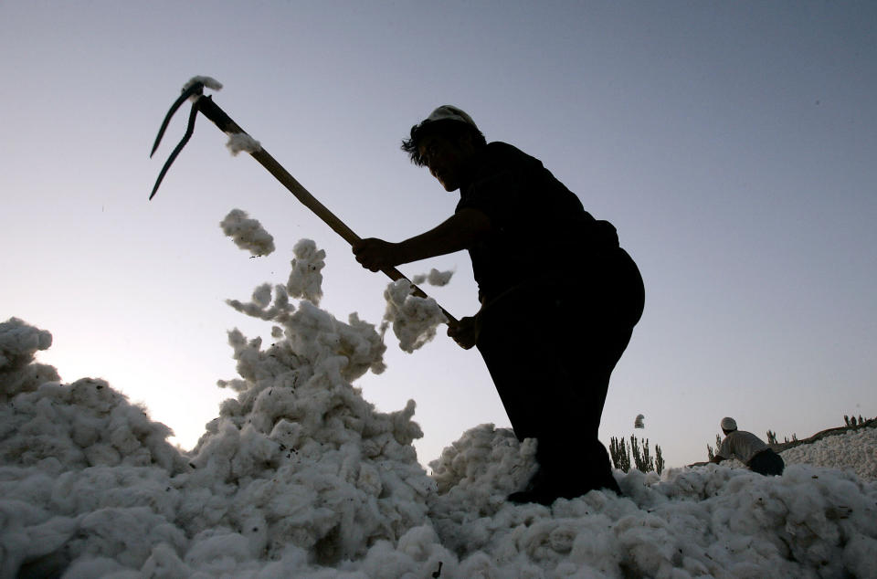 A worker gathers raw cotton at a cotton-growing area collective center in the city of Korla  in northwest China's Xinjiang Uygur Autonomous Region on Tuesday, Oct. 10, 2006. Cotton is the most important agricultural production in the region. (AP Photo/Eugene Hoshiko)