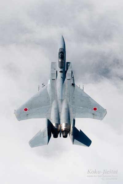 日本航空自衛隊主力機種：F-15J/DJ。（航空自衛隊官網）