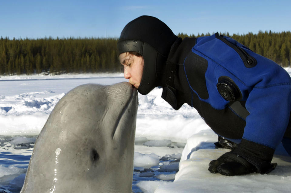 <p>Photographer Dafna Ben Nun kissing a whale. (Photo: Dafna Ben Nun/Caters News) </p>