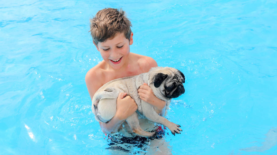 8 dog breeds that can’t swim