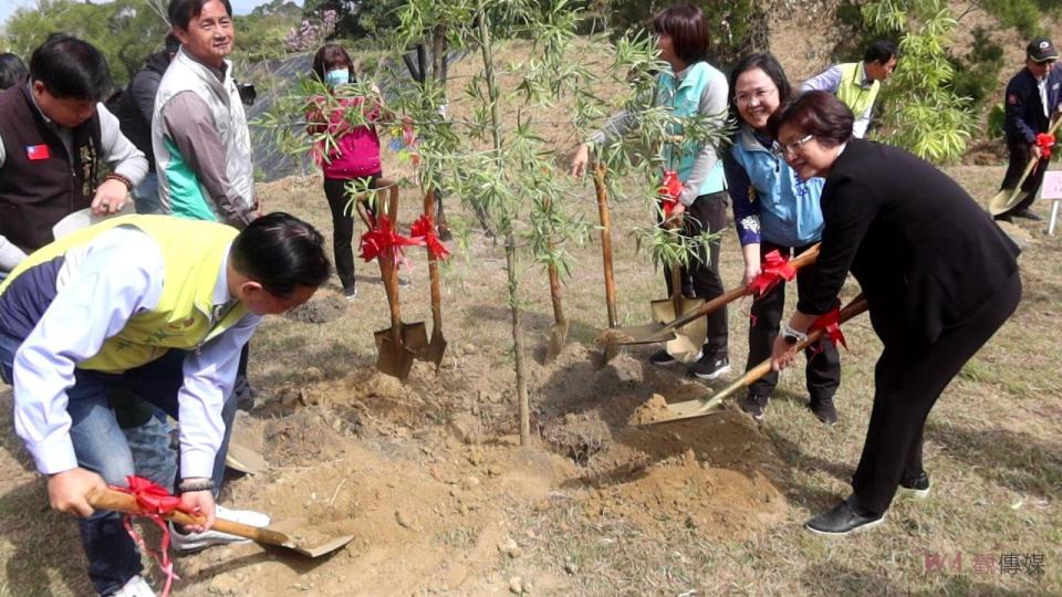 ▲彰化縣113年植樹活動-一起集點樹活動，現場有大小童軍、社區民眾，一起來參與蛻變魔法森林，現場發送4種台灣原生種樹苗給鄉親。（記者陳雅芳攝）