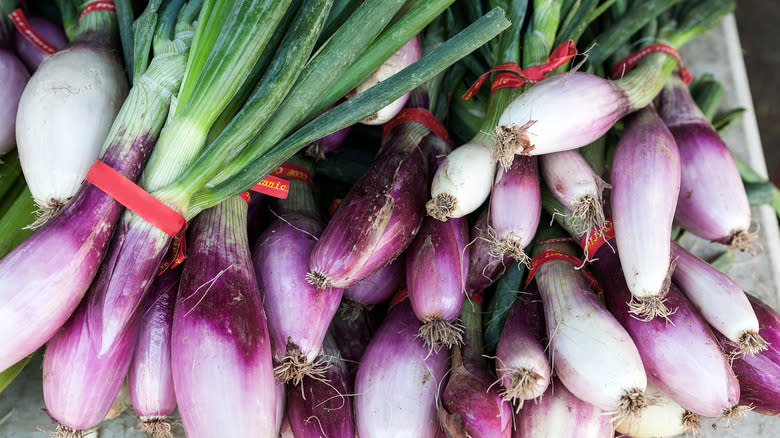 fresh torpedo onions