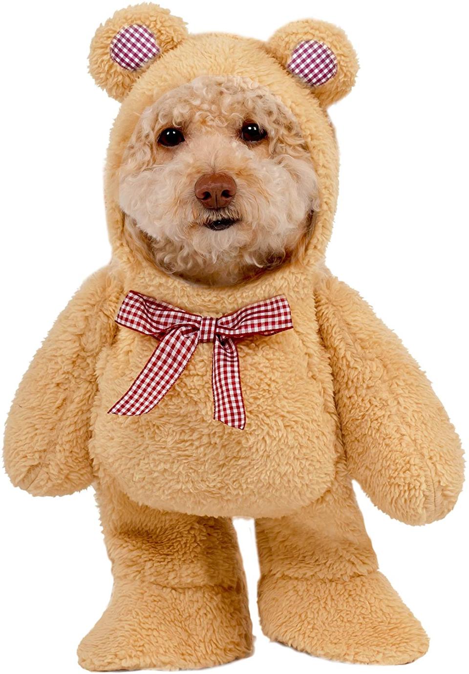 walking teddy bear pet suit