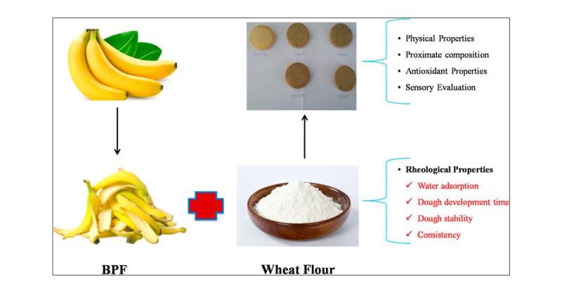 2016年的一項研究則發現，用香蕉皮粉代替最多10％的小麥粉可以提高烘焙麵包的蛋白質、碳水化合物和脂肪含量。（圖／《ACS食品科學與技術》）