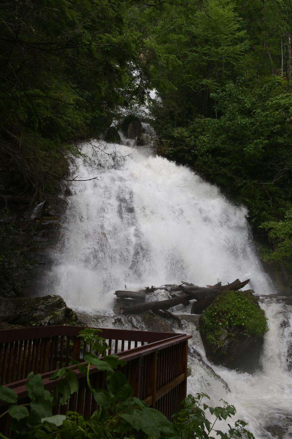 <p>Here are some more photos of Anna Ruby Falls. (Photo by <strong><a href=