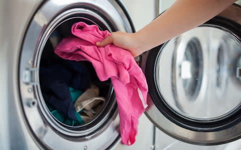 Pest firms say washing clothes at higher temperatures helps kill off larvae - Credit: Guido Mieth/Moment RF