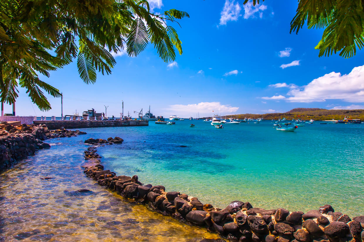 A stunning bay in the Galapagos Islands. (Supplied Body Shop/Grispb - stock.adobe.com)