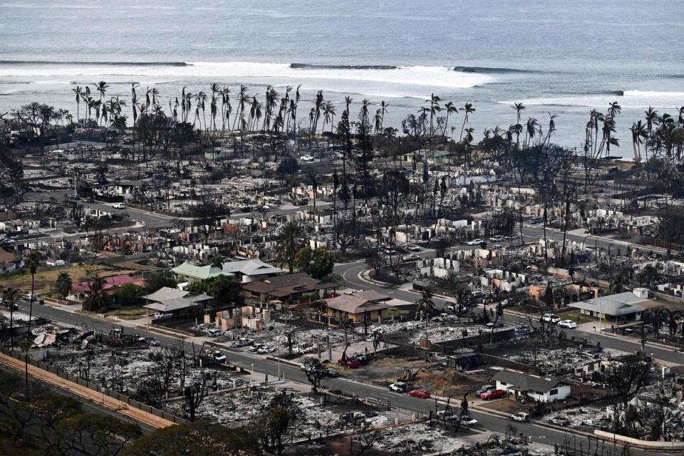 Maui has been left devastated by the deadly wildfires (AFP via Getty Images)